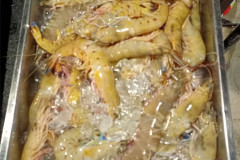 2025-12-30-KohRong-food-5-dollars