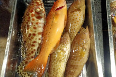 2025-12-30-KohRong-food-5dollars