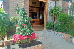 2025-12-31-KohRong-elka