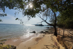 2025-12-29-Koh-Rong-Plankton-Beach-1