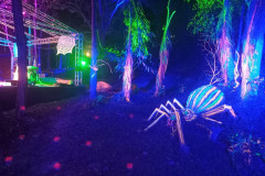 2025-12-31-KohRong-Germany-Bar-1