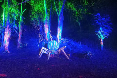 2025-12-31-KohRong-Germany-Bar-2