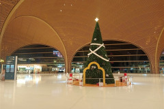 2026-01-05-Phnom-Penh-elka-v-aeroportu-2