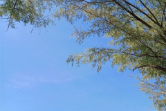 2026-01-04-Sihanoukville-otres-plyazh-3