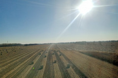 2025-12-11-to-Shanghai-IMG20251211102634