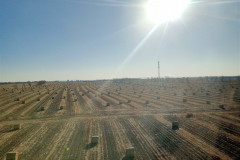 2025-12-11-to-Shanghai-IMG20251211102638