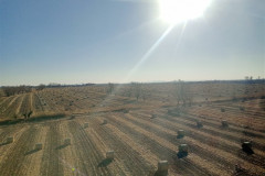 2025-12-11-to-Shanghai-IMG20251211102643