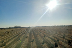 2025-12-11-to-Shanghai-pole-2