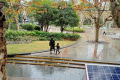 2025-12-13-Shanghai-IMG20251213115141