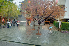 2025-12-13-Shanghai-ekskurs_avt-gorod-16