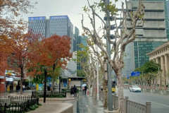 2025-12-13-Shanghai-ekskurs_avt-gorod-7