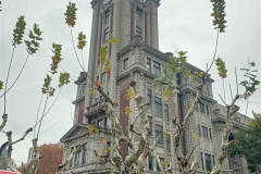 2025-12-13-Shanghai-ekskurs_avt-gorod-chasy