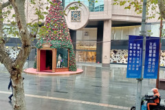 2025-12-13-Shanghai-ekskurs_avt-gorod-elka