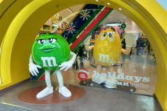 2025-12-13-Shanghai-ekskurs_avt-nanin-road-mm-vhod