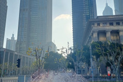 2025-12-14-Shanghai-shanhaj-fontan-vozle-Pearl-Tower