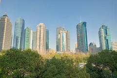 2025-12-14-Shanghai-utro-gorod-16