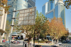 2025-12-14-Shanghai-utro-gorod-4