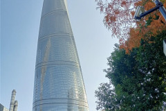 2025-12-14-Shanghai-utro-zdanie-655m-4