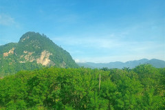 2025-12-20-Cameroon-Highlands-doroga-10