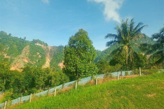 2025-12-20-Cameroon-Highlands-doroga-8