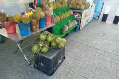 2025-12-20-Cameroon-Highlands-duriany