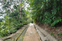 2025-12-18-Penang-Pejabat-Taman-Negara-2