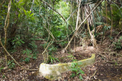 2025-12-18-Penang-Pejabat-Taman-Negara-6