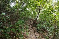 2025-12-18-Penang-Pejabat-Taman-Negara-8