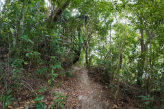 2025-12-18-Penang-Pejabat-Taman-Negara-9