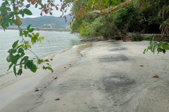 2025-12-18-Penang-Pejabat-Taman-Negara-more-1