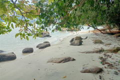 2025-12-18-Penang-Pejabat-Taman-Negara-more-4