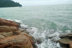 2025-12-18-Penang-Pejabat-Taman-Negara-more-7