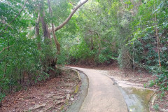 2025-12-18-Penang-Pejabat-Taman-Negara-tropinka-2