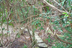 2025-12-18-Penang-Pejabat-Taman-Negara-tropinka-3