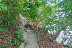 2025-12-18-Penang-Pejabat-Taman-Negara-tropinka-4