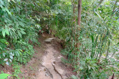 2025-12-18-Penang-Pejabat-Taman-Negara-tropinka-5