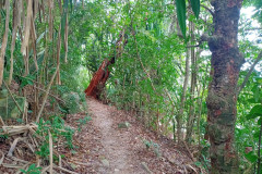 2025-12-18-Penang-Pejabat-Taman-Negara-tropinka-8