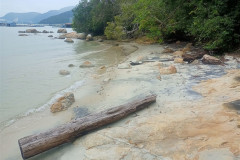 2025-12-18-Penang-Pejabat-Taman-Negara-tropinka-more-5