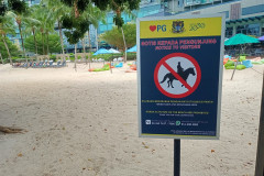 2025-12-18-Penang-Batu-Ferringhi-zapret