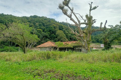 2025-12-18-Penang-Hidden-Beach-11