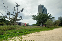 2025-12-18-Penang-Hidden-Beach-13