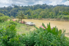 2025-12-21-Taman-Negara-Kuala-Tahan-3