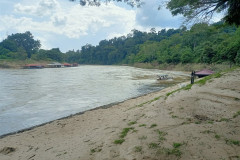 2025-12-21-Taman-Negara-Kuala-Tahan-5