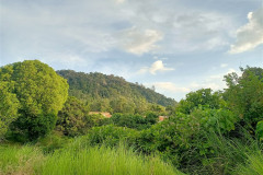 2025-12-23-Taman-Negara-Kuala-Tahan-okraina-2