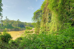 2025-12-22-Taman-Negara-Mutiara-Resort-20