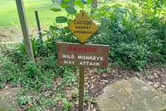 2025-12-22-Taman-Negara-Mutiara-Resort-21-tablichka-dikie-obezyany