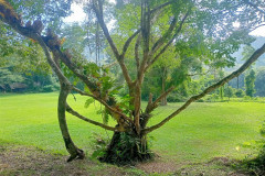 2025-12-22-Taman-Negara-Mutiara-Resort-26