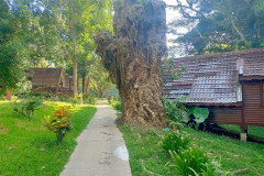 2025-12-23-Taman-Negara-Mutiara-