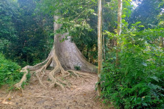 2025-12-23-Taman-Negara-Mutiara-Les-u-reki-1