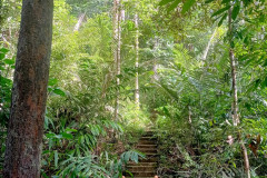 2025-12-23-Taman-Negara-Mutiara-Les-u-reki-20